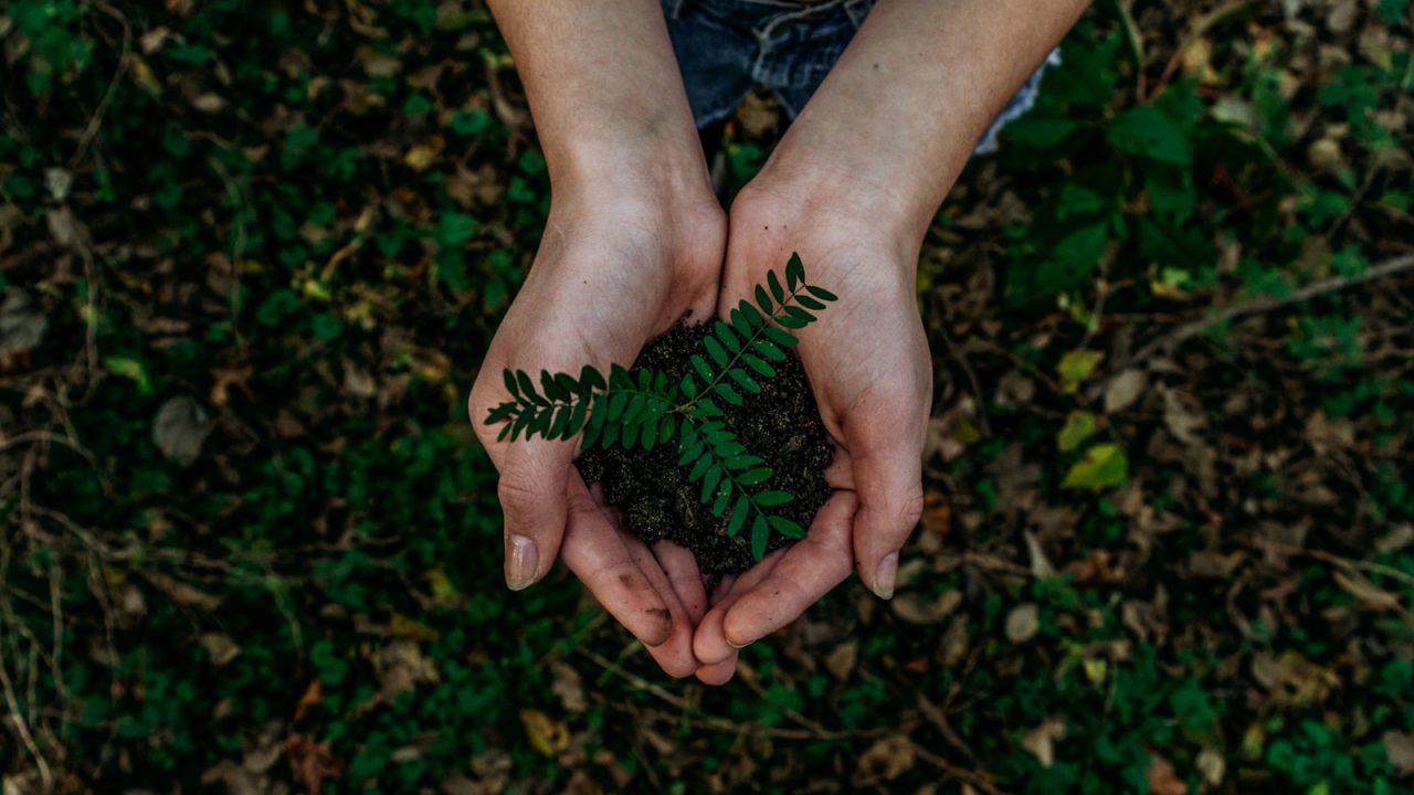 Environmental Protection and Conservation